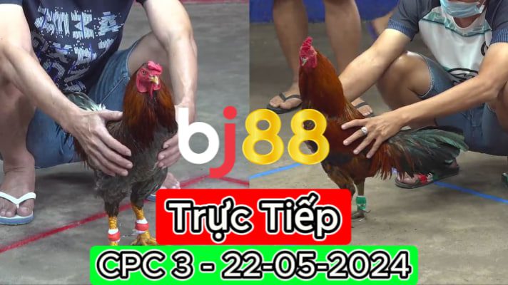 Xem Trực Tiếp thomo CPC3 ngày 22-05-2024