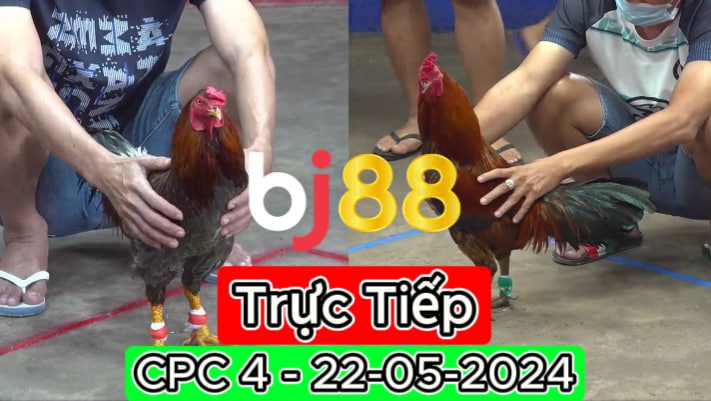 Trực Tiếp thomo CPC4 ngày 22-05-2024