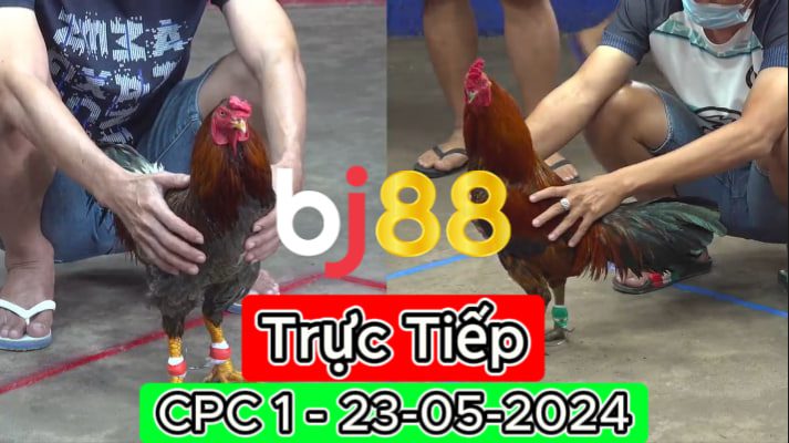 Trực Tiếp thomo CPC1 ngày 23-05-2024