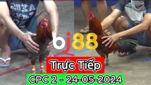 Xem Trực Tiếp thomo CPC2 ngày 24-05-2024