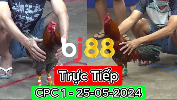 Trực Tiếp thomo CPC1 ngày 25-05-2024