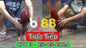 Xem Trực Tiếp thomo CPC3 ngày 25-05-2024