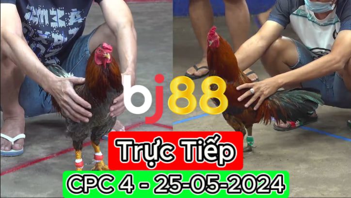 Xem Trực Tiếp thomo CPC4 ngày 25-05-2024