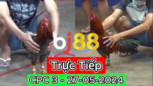 Xem Trực Tiếp thomo CPC3 ngày 27-05-2024