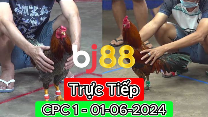 Xem Trực Tiếp thomo CPC1 ngày 01-06-2024