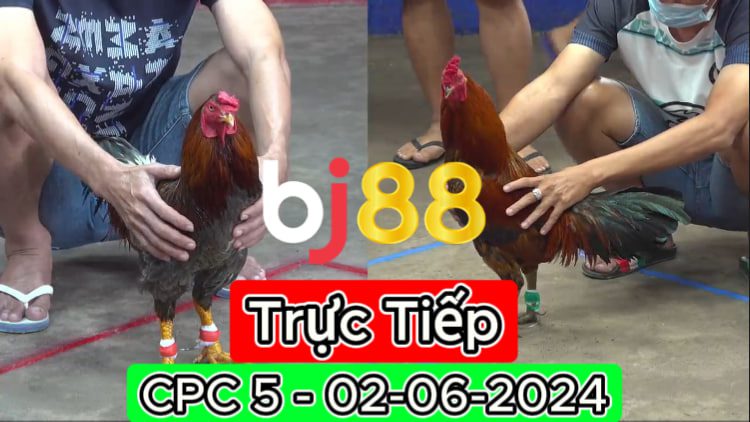 Xem Trực Tiếp thomo CPC5 ngày 02-06-2024